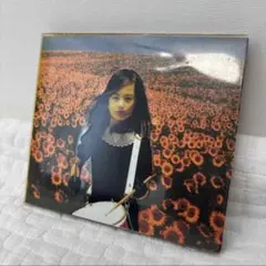 Item thumbnail for item 675b8773-3460-4e00-a1ca-1805df0abe89