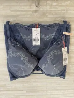 D65&M」トリンプ 森の妖精メロディ エアリーフィール ブラ&ショーツ