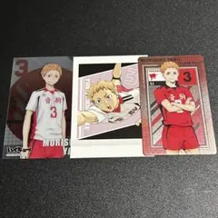 ハイキュー!! 夜久衛輔 カード&ロンステセット