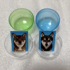 Item thumbnail for item b25cb6c2-31c4-4d03-8f28-c97d57b155ba