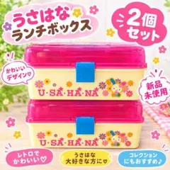 【ラスト1点】♡ウサハナ　お菓子BOX ２個セット♡