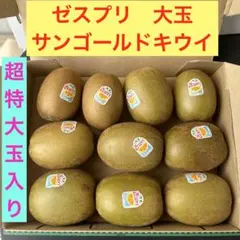 【ラスト1点】正規品　ゼスプリ　サンゴールドキウイ　大玉　1.6kg 10個入りのサムネイル