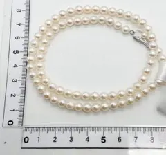 Item thumbnail for item 8af58779-8bd2-47ec-acf8-3c0f300dd413