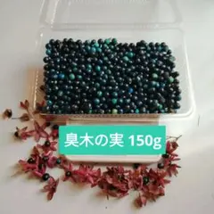 草木染(臭木の実染)　 茜1,臭木2,玉ねぎ1 4枚のセットになります。 草木染め＠臭木｜かきこ