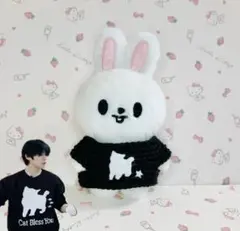 スキズ　skzoo 10cm ぬいぐるみ　服　編み物　セーター　リノ　リービット