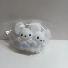 ポケモンキッズ　ワッカネズミ⑬◯