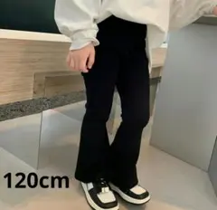 Item thumbnail for item 7b47100a-bceb-4027-9bc5-981abb34bddd