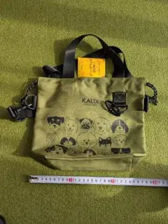 Item thumbnail for item 250ec7d9-db44-4476-8508-adccef831e33