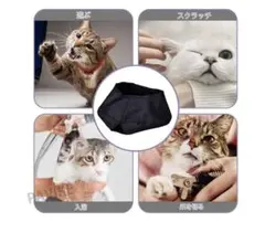 Item thumbnail for item 5edb8a2d-5277-4008-a6cb-7ab703244a94