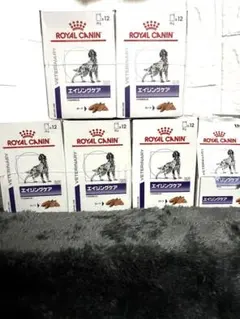 ロイヤルカナン 犬用 エイジングケア パウチ 85g 72袋（6箱）新品未