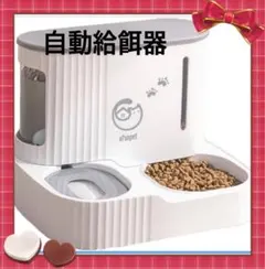 Item thumbnail for item 7119087d-43c9-468b-9eee-75a4c3559fdf