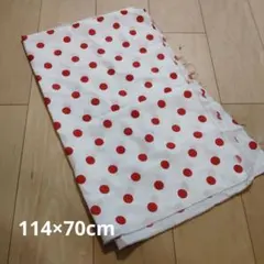 Item thumbnail for item 102552a7-5a45-4914-a9e1-044f23c63ad4