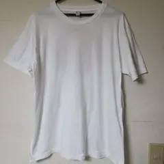 Santa Cruz テストプリント Tシャツ NHS