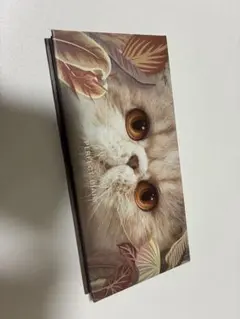 PERFECT DIARY アイシャドウパレット 猫