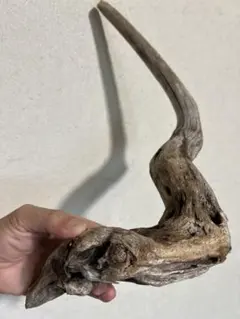 Item thumbnail for item 8b3f94ec-adee-45b1-b3dc-4eaad0e8629c