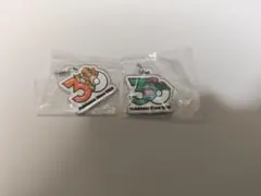 ポケモン 30周年　メタルチャームマスコット