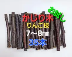 Item thumbnail for item b20eee9a-83af-43a7-a56a-503f0affe644