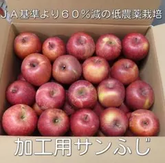 加工用りんご　サンふじ　約10キロ　しわ酷　ジュース・ジャム等に　減農薬⑩