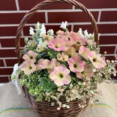 新品種❤︎ペチュニア【ハニーナッツ】の籠寄せ植え♡母の日gift 新品種❤︎ペチュニア【ハニーナッツ】の籠寄せ植え♡母の日gift