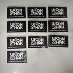 BOYNEXTDOOR ウナク ロゴ ステッカー 10枚