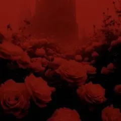 しあさま専用♡