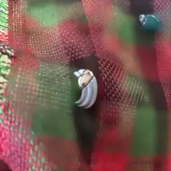 シルバー ゴールド クリップ式イヤリング