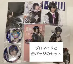 2026年最新】アイチュウ エヴァの人気アイテム - メルカリ