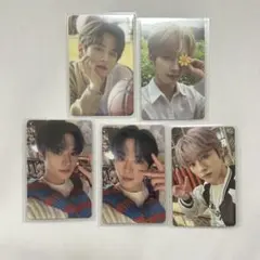 スキズ Stray Kids リノ トレカ