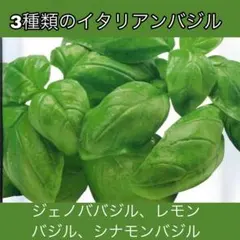 Mermomi様 リクエスト 3点 まとめ商品