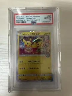 お茶会ごっこピカチュウ：はなびらのまいキャンペーン PROMO SM
