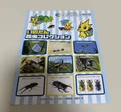 Item thumbnail for item 0f9b633f-4c53-4ae6-b42d-ff13a3f238db