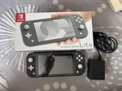 Nintendo Switch Lite本体 充電器・microSD32GB付き