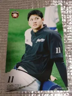 大谷翔平 2014 ハイライトフォト No.274 日本ハム 球団公式写真