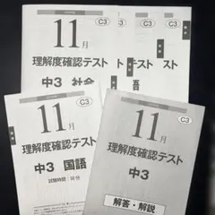 Item thumbnail for item b28baf0e-ba10-426b-917e-36f3f4b429eb