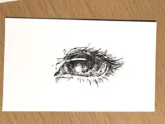 Item thumbnail for item e1c7f5a0-8aea-48dc-b903-b529d8134ded