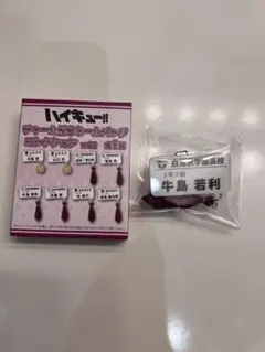 ハイキュー 牛島若利 チャーム付きネームバッジコレクション