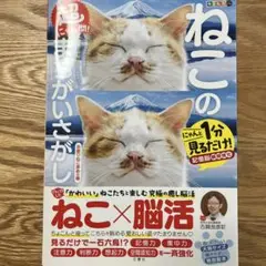 毎日脳活スペシャル 超にゃん問! ねこのまちがいさがし お座りねこ多めの巻