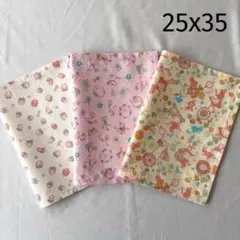 No.C10 ランチョンマット 25x35cm 裏地なし