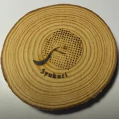 Item thumbnail for item 42855134-5990-425a-a778-bef7c3a11342