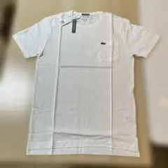 ラコステ EXCLUSIVE EDITION 鹿の子ポケット Tシャツ　白