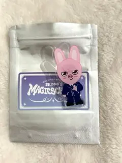 限定 スキズ POPUP CAFE SKZOO ピンバッジ バッジ　チャンビン