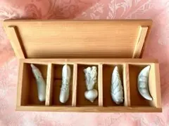 Item thumbnail for item 3d8a7695-ed92-446e-8689-bc927de7c9d9