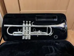 Item thumbnail for item fbd8b6ef-fc19-4eb7-91fb-f07d2bfa07ce