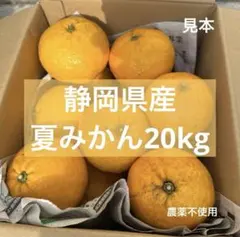 不知火デコポン　甘くて 美味しい　2０Kg 不知火デコポン 甘くて 美味しい 20Kg - メルカリ