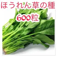 ラッキー空間⛩️様 リクエスト 2点 まとめ商品