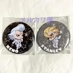 Dr.stone TeNQ 缶バッジ　ミニキャラ　コンプリートセット Dr.stone TeNQ 缶バッジ ミニキャラ コンプリートセット - メルカリ