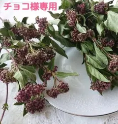 チョコ様専用ページ　80size　*⋆ฺ࿐✩⡱