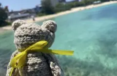 【十条様専用】ニッタオル（ベージュ)