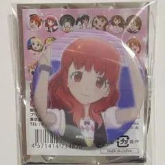 プリティーリズム オーロラドリーム 春音あいら ヒストリー缶バッジ