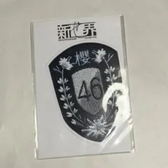 2026年最新】櫻坂46 新せ界の人気アイテム - メルカリ
